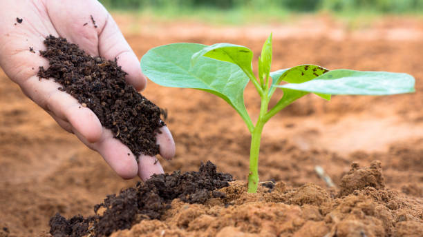 Top 10 Best Fertilizer Companies in the World – IMARC Group