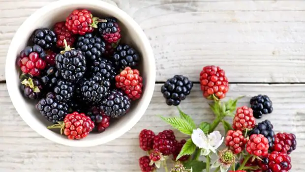 Berries Have 7 Health Benefits ￼