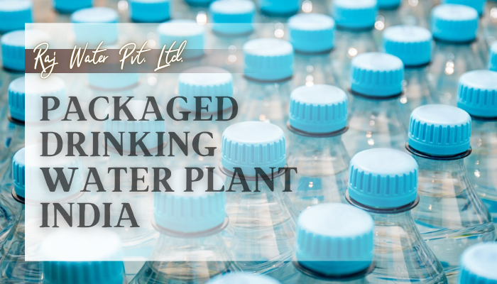 Is Packaged Drinking Water Profitable?￼