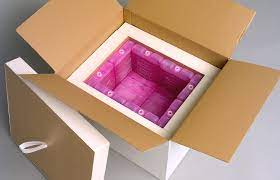 Cold Chain Packaging Market Growth 2022-2027, Industry Size, Share, Trends and Forecast