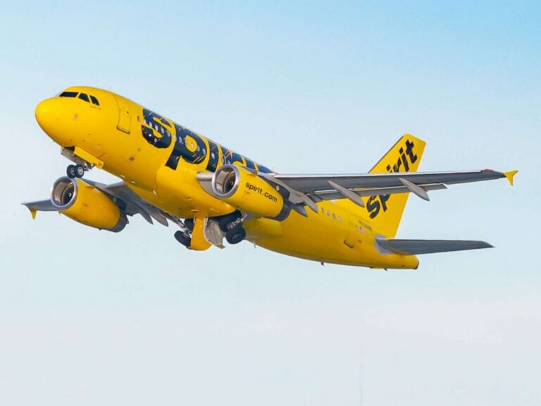 How to Monitor the Status of a Spirit Airlines Flight