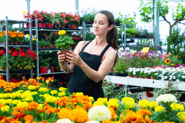 The Benefits of Volunteering with Flower-Related Organizations