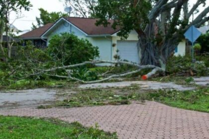 Comprehensive Hurricane Damage Restoration in Tampa, FL
