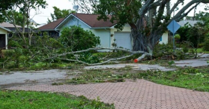 Comprehensive Hurricane Damage Restoration in Tampa, FL
