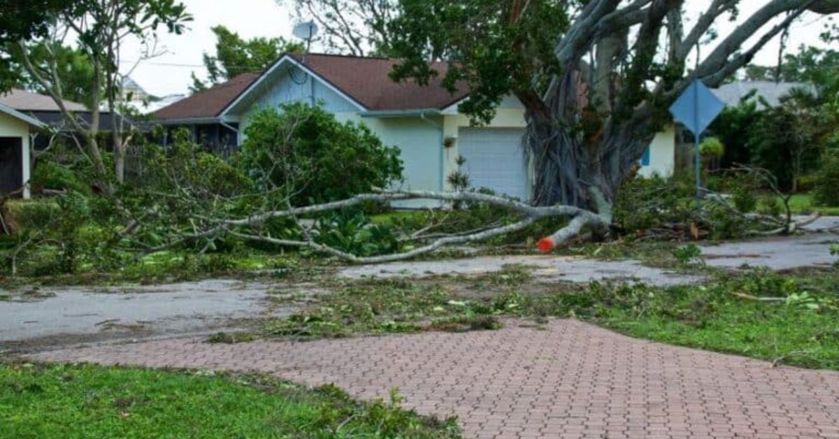 Comprehensive Hurricane Damage Restoration in Tampa, FL